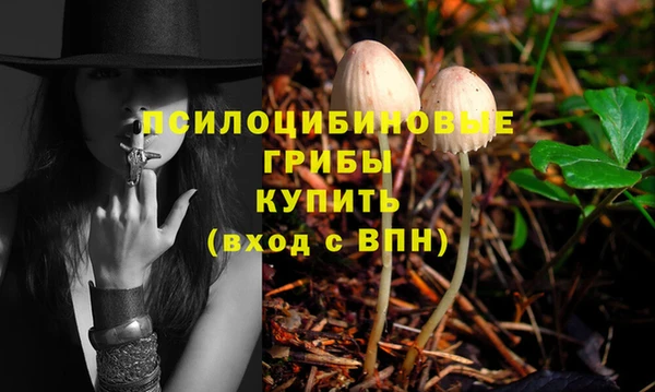 ECSTASY Абдулино