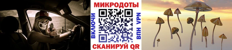 Псилоцибиновые грибы MAGIC MUSHROOMS  Истра 