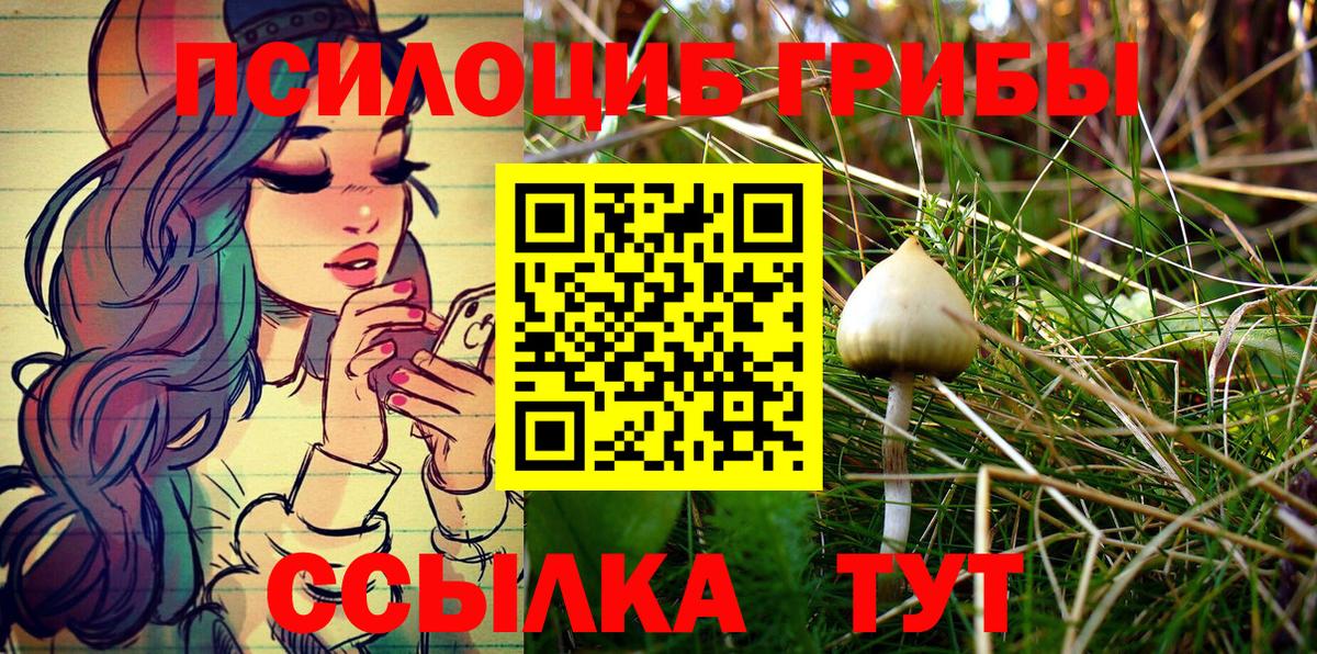 Меф мяу мяу Истра