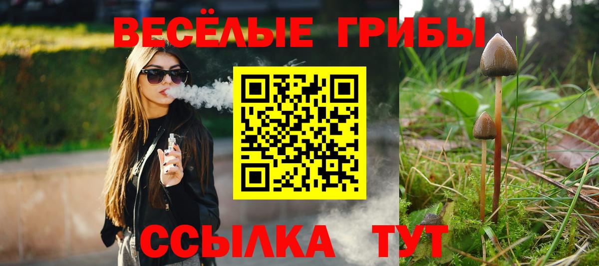 Галлюциногенные грибы MAGIC MUSHROOMS Истра