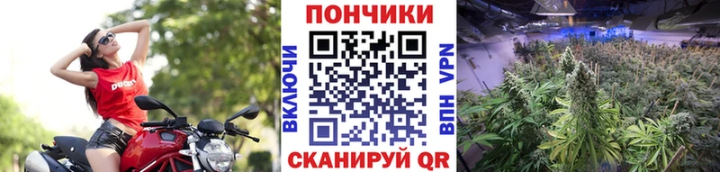 мориарти наркотические препараты  Истра  Марихуана White Widow 